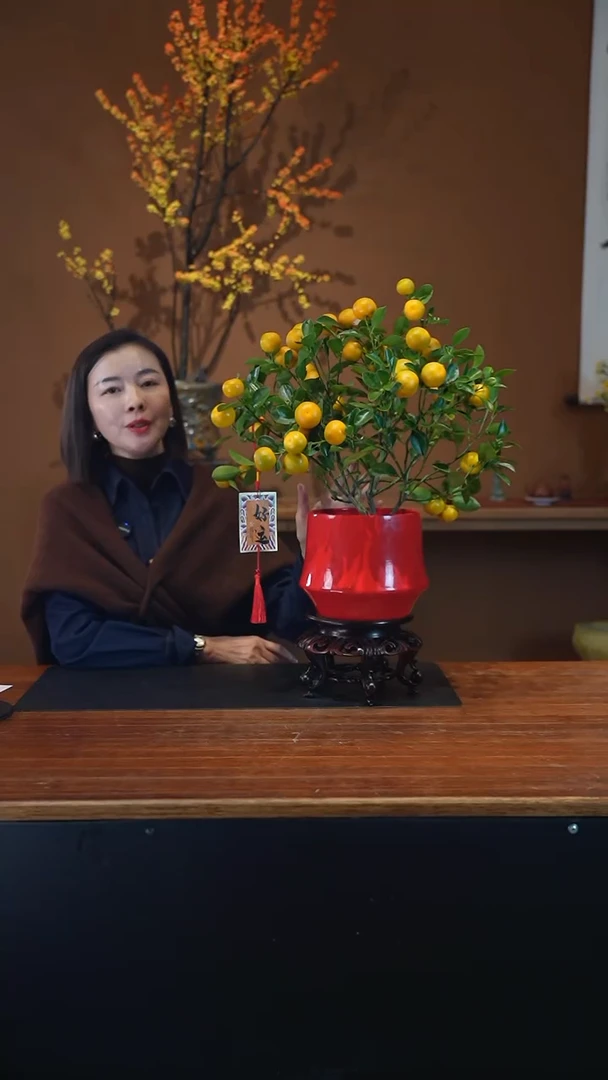 全部花朵小金橘红盆盆景盆景盆景