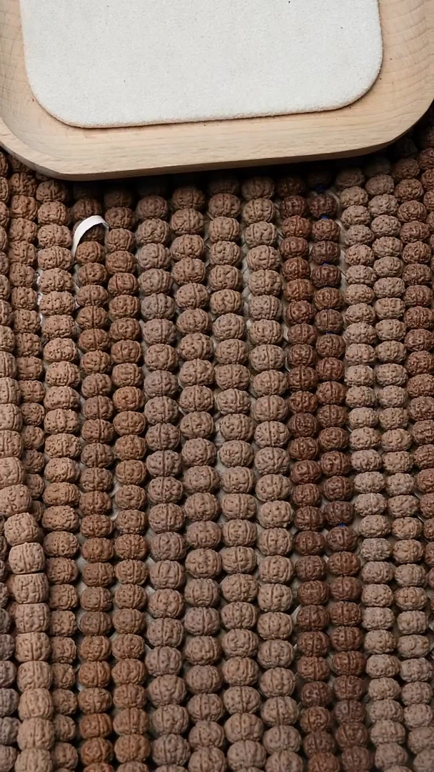 金刚菩提手串一代龙