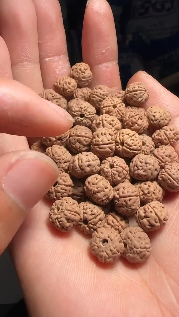 手串金刚菩提非全品老树王散籽9-10mm一份一百颗