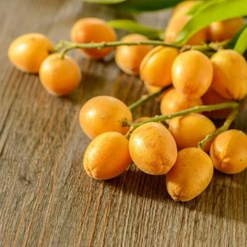 空运广东鸡心黄皮果新鲜水果黄弹整箱孕妇当季广西水果酸甜包邮