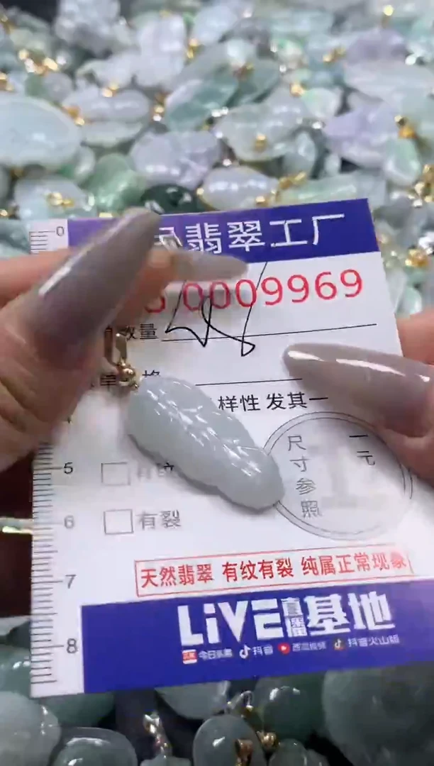 颈饰未镶嵌翡翠9969