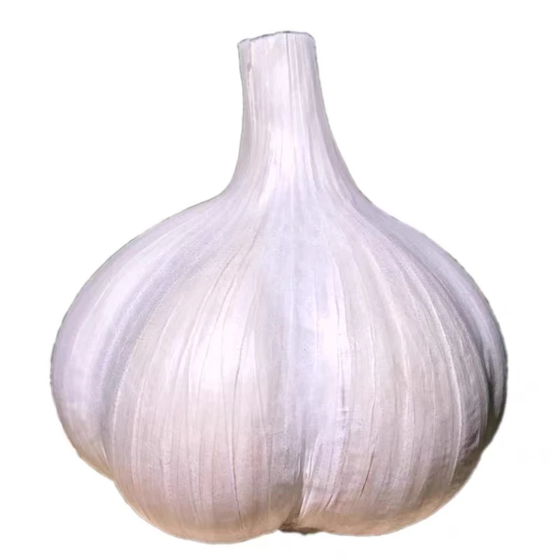 大蒜 300g±20g/份