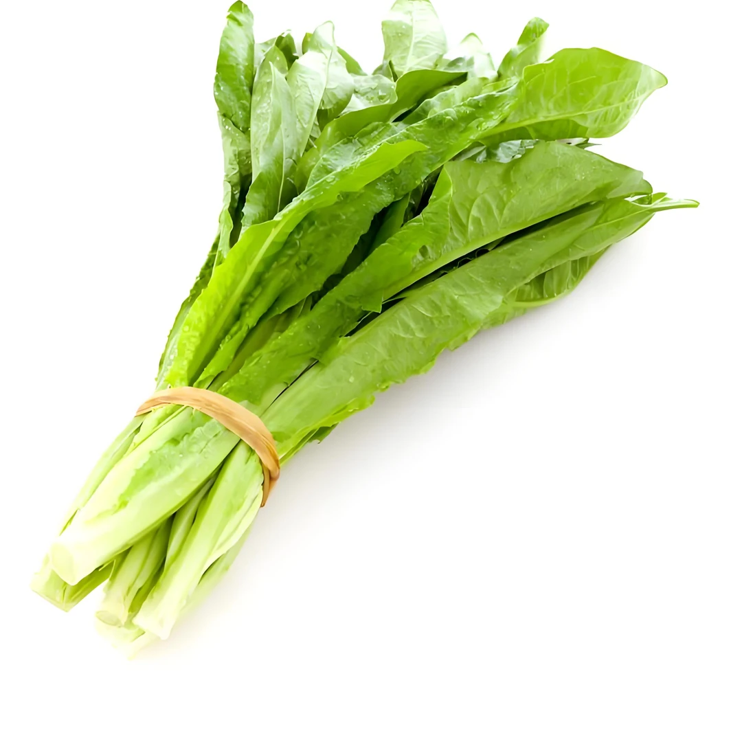 油麦菜(يۇۋ پو سەي)