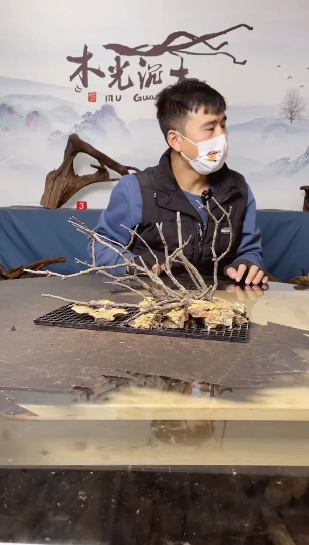 【闪购商品】A999木光沉木木光沉木