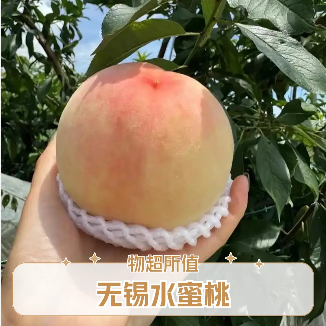 ....【5-4两无锡水蜜桃】.......