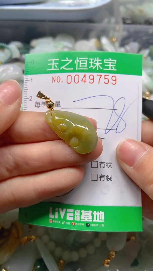 【闪购商品】翡翠颈饰未镶嵌闪购0049759