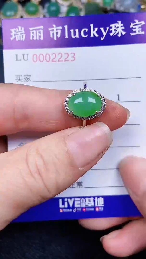 颈饰银S925镶嵌翡翠2223