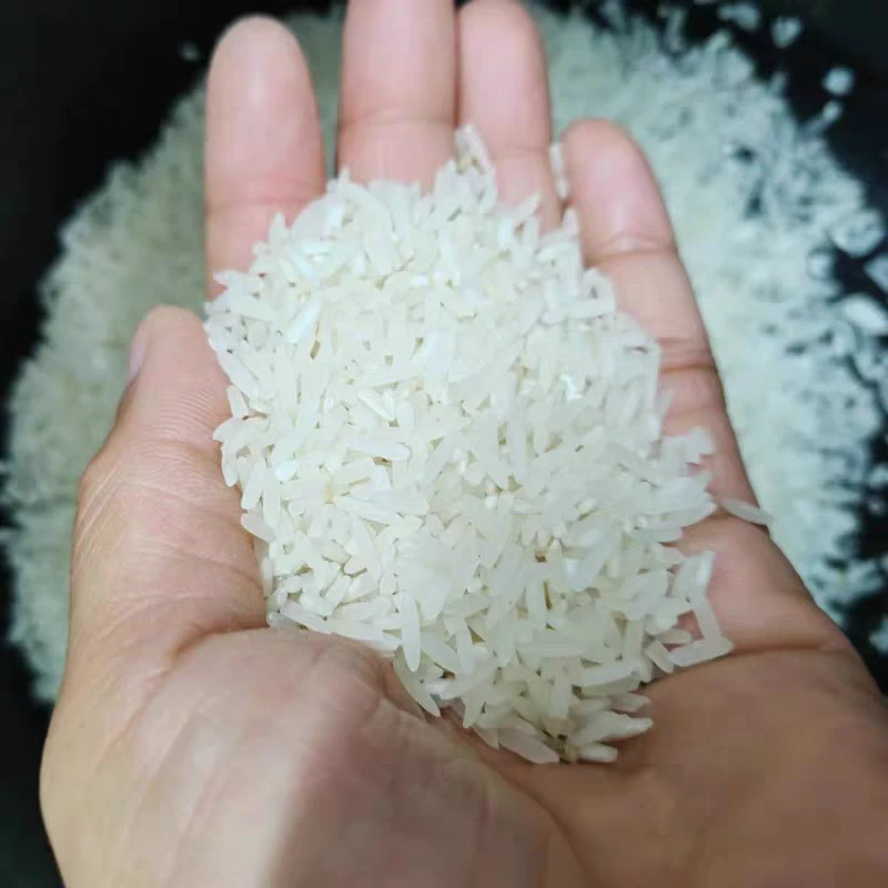 湘西腊尔山一年一季晚稻大米(新米)