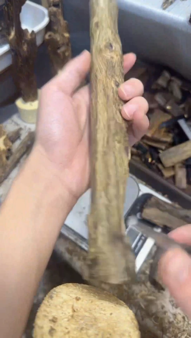 沉香沉香碎屑乌身原叶黄油