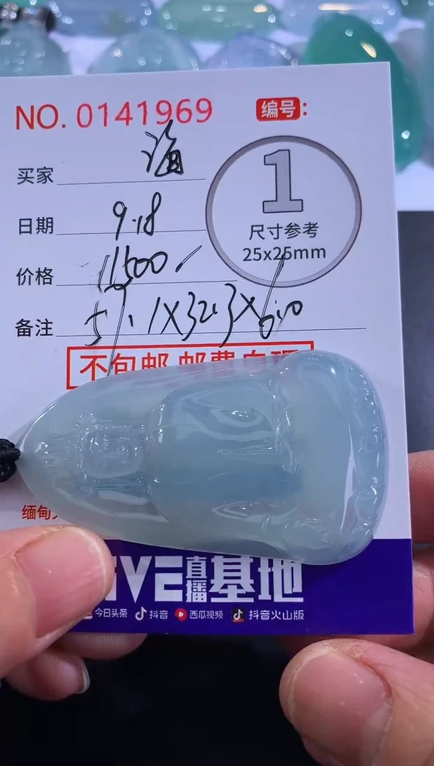 颈饰未镶嵌翡翠海****2！