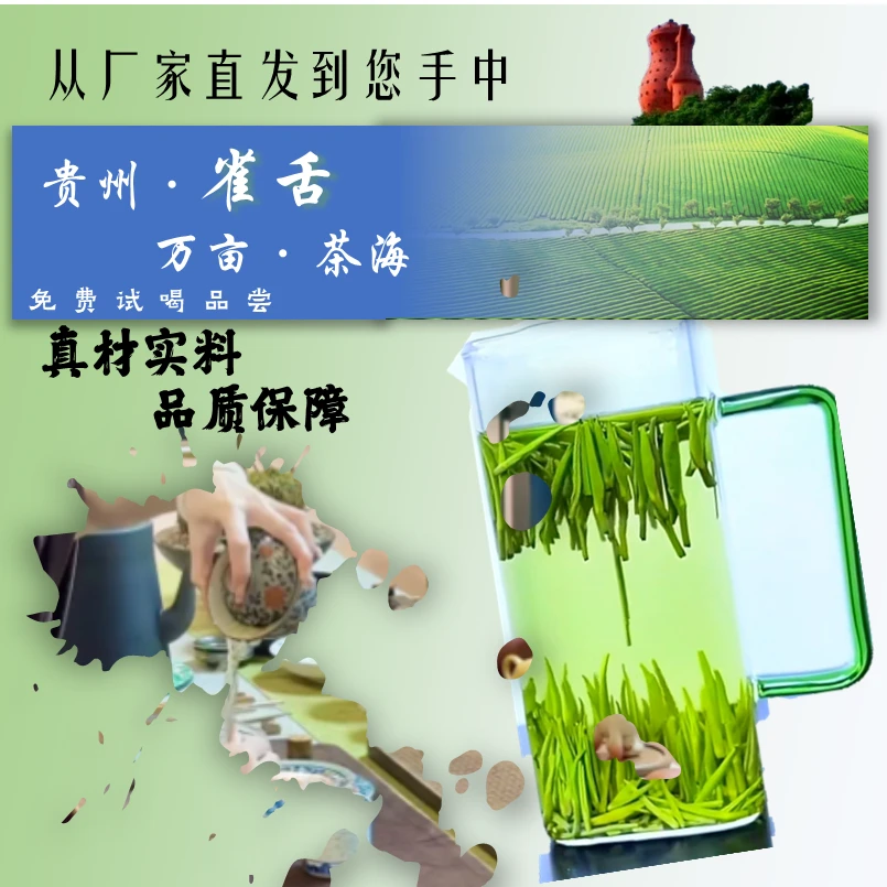 雀舌新茶高山贵州明前绿茶新茶2025