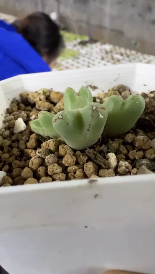 【闪购商品】1/23-128