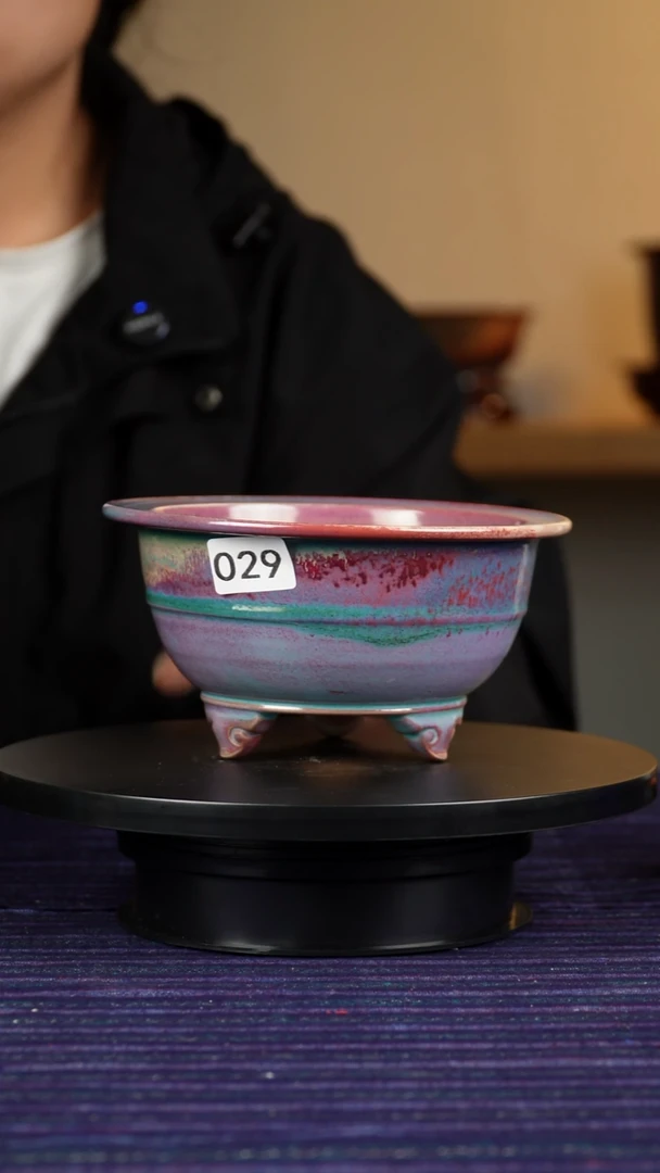 其他029富贵花盆