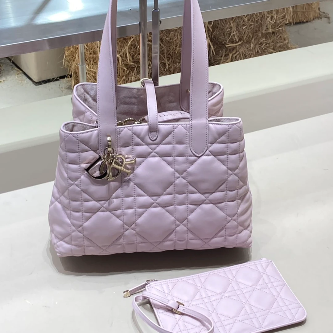 95新 DIOR/迪奥 土著包 中号 淡粉金扣/081049