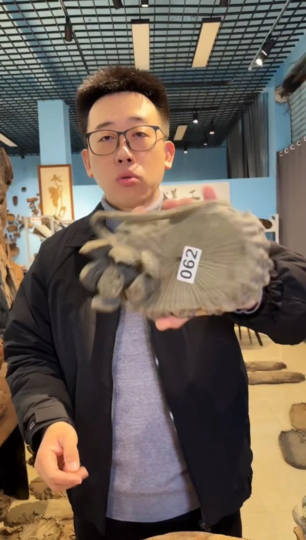 木062号乌木金丝楠壶承