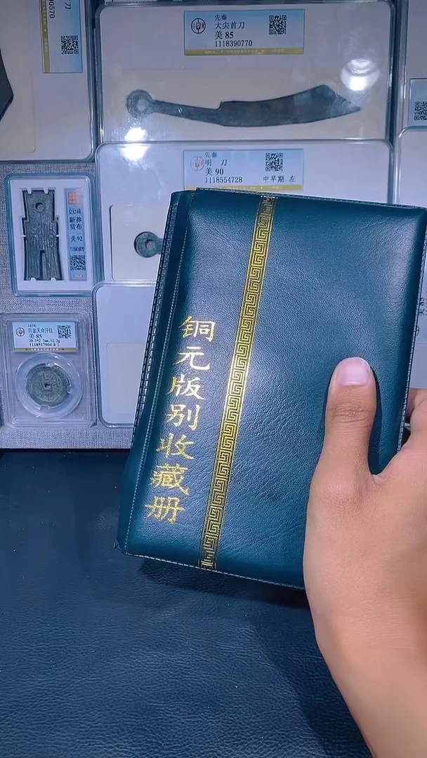 金琪珍 铜元版别收藏册