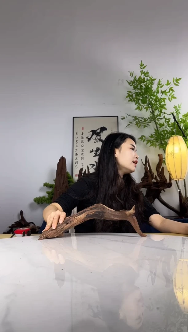 简**单拍沉木定向链接编号21