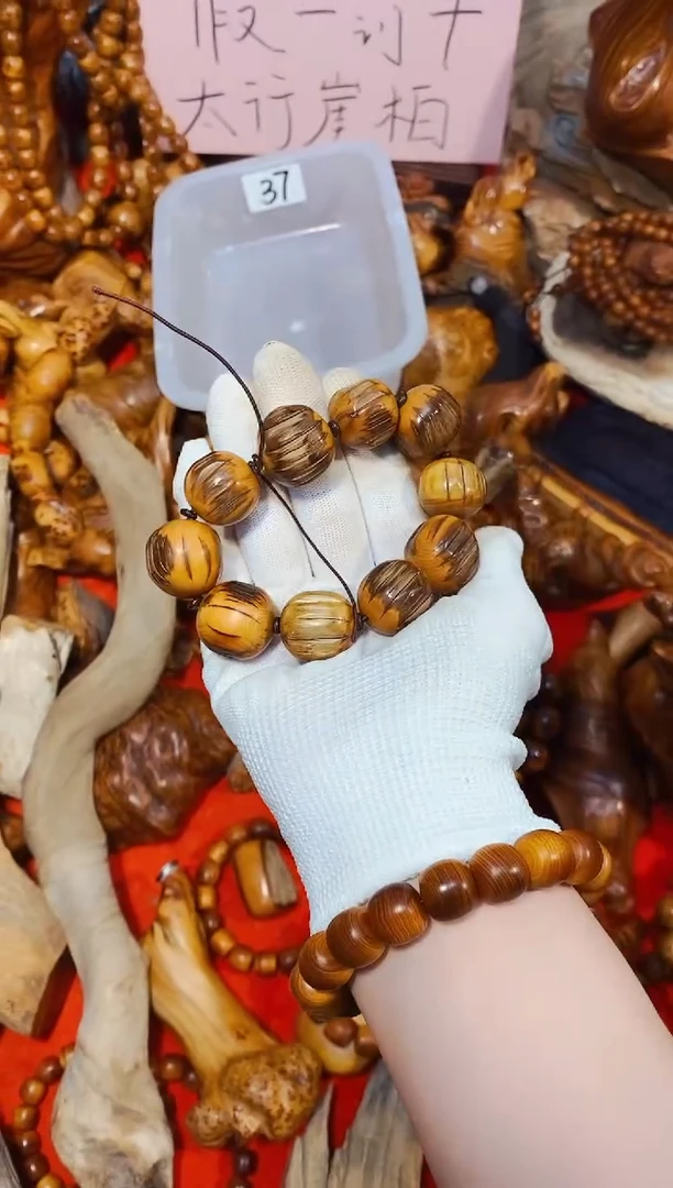 柏木48崖柏崖柏崖柏