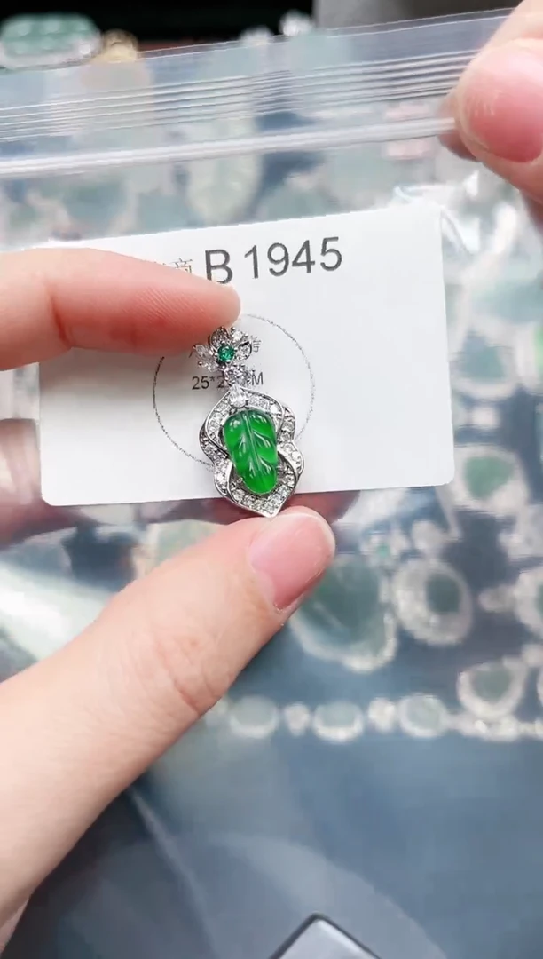 【闪购商品】翡翠颈饰未镶嵌赠皮绳1945