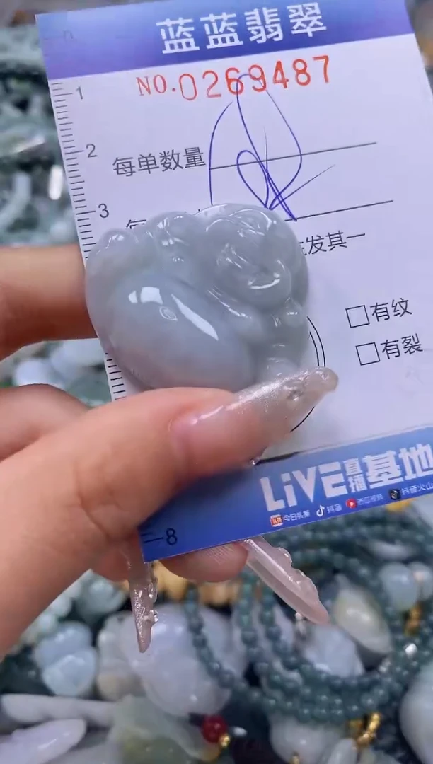 翡翠未镶嵌颈饰闪购0269487