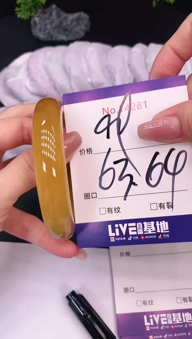 未镶嵌手镯翡翠14281