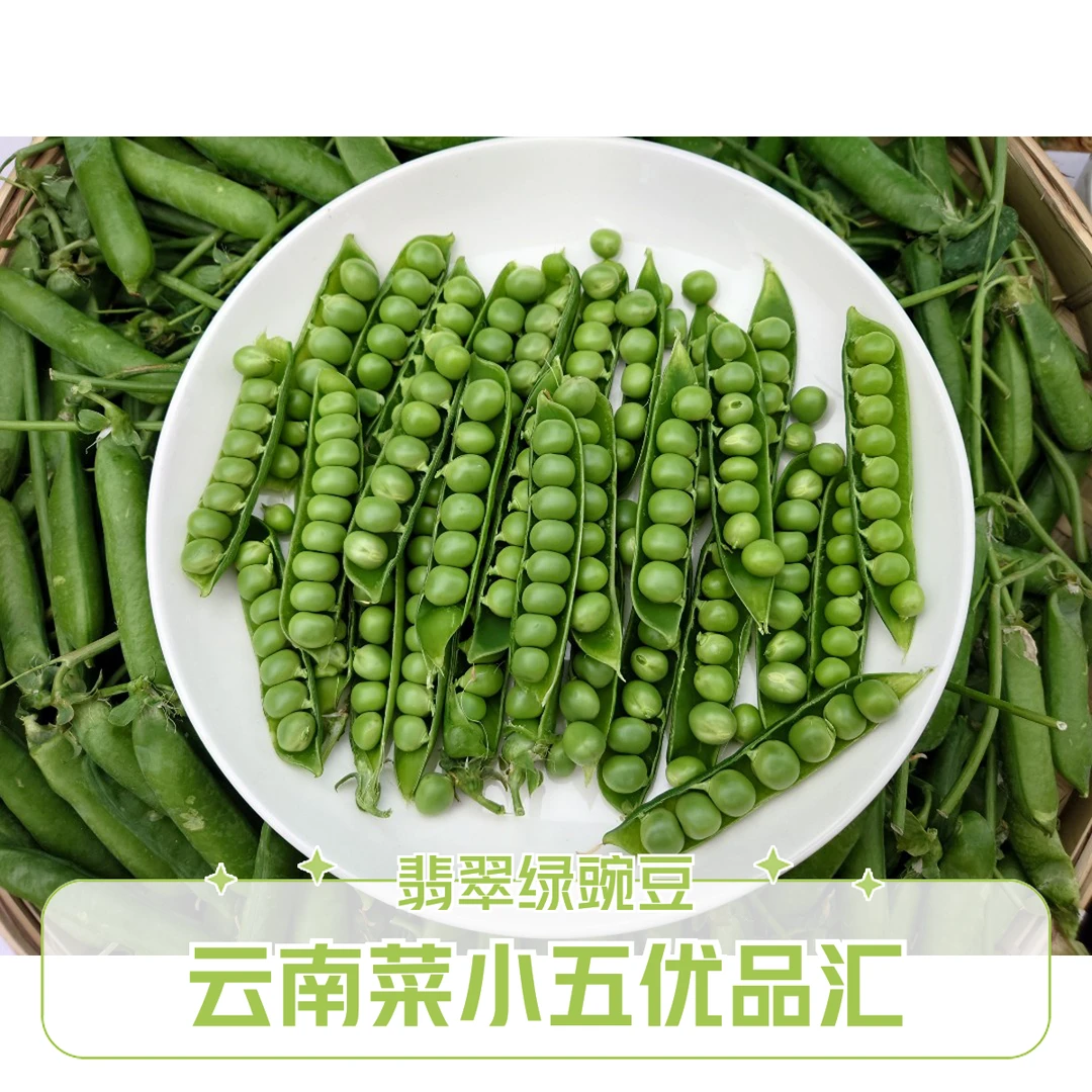 云南高原特色豌豆 纯天然  产地直发 家庭版
