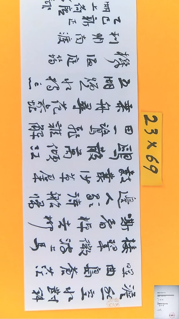 【闪购商品】书法江孝龙书法作品利州南渡23*69