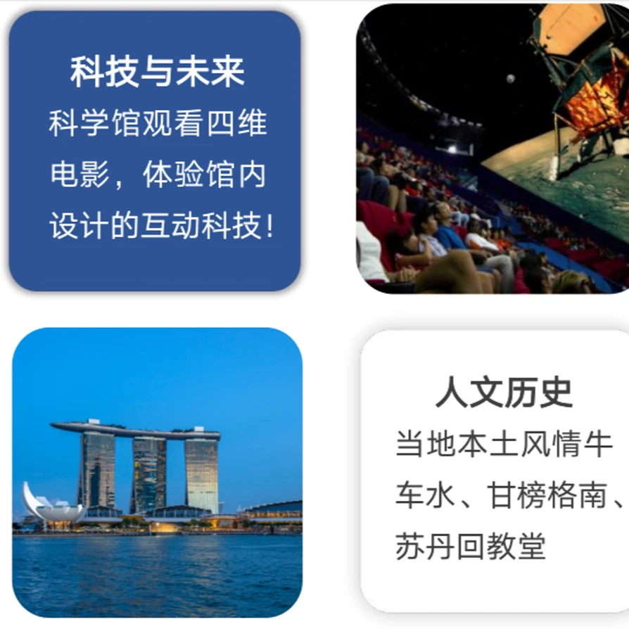 大手拉小手，狮城亲子共探索线上直播课