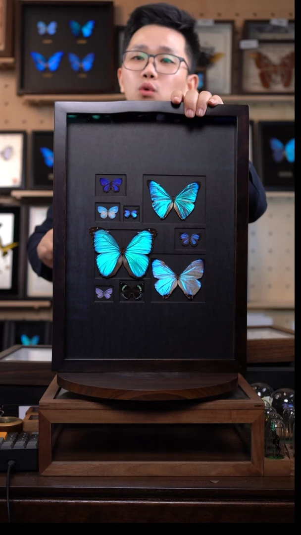 人间九秀蝴蝶组合