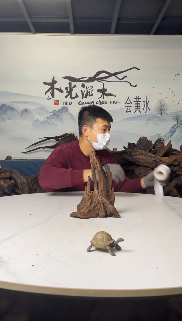 a487木光沉木木光沉木487