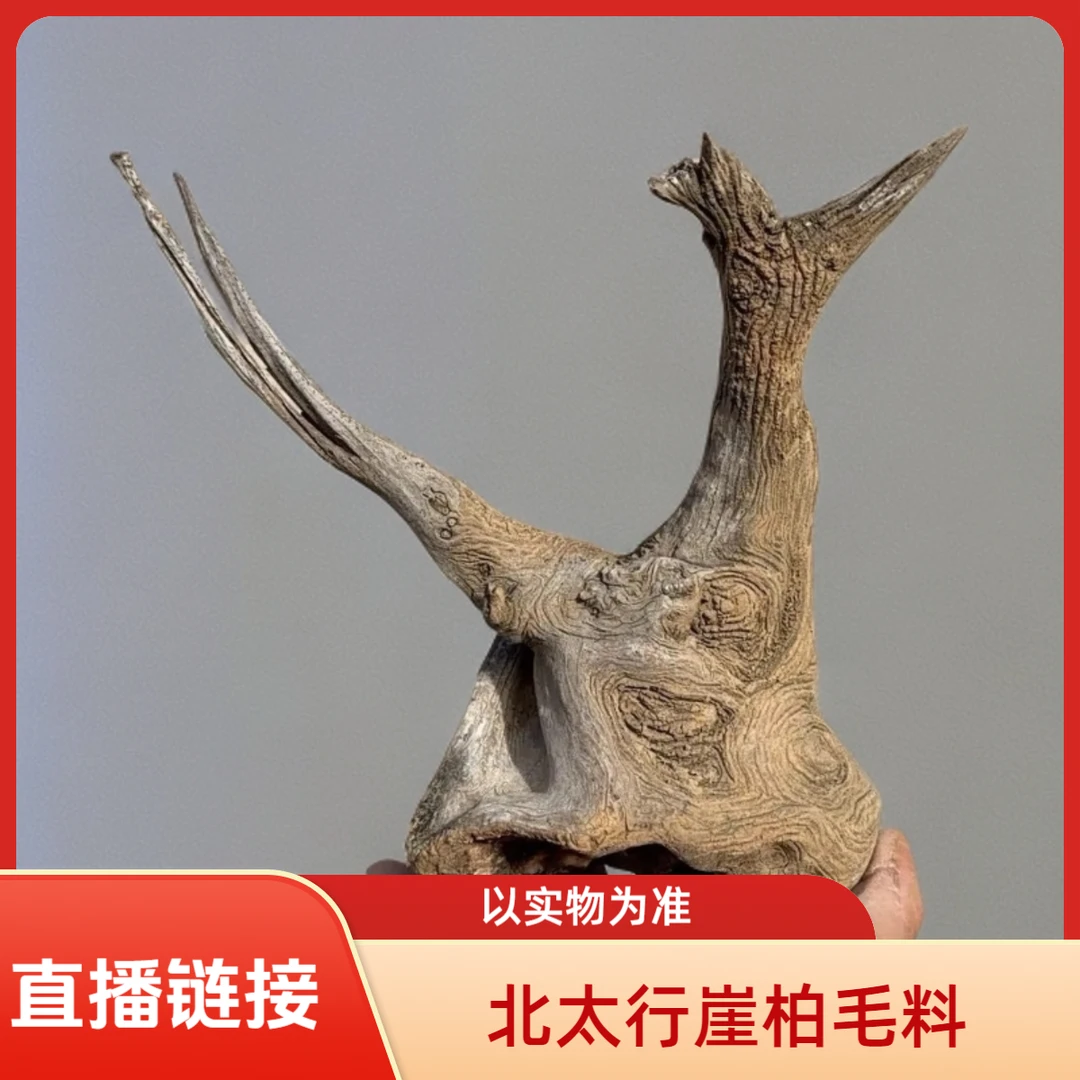 北太行崖柏涞水易县料原木意境造型雕刻料（以实物为准）