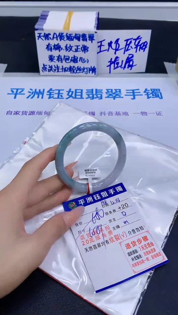 未镶嵌手镯翡翠11