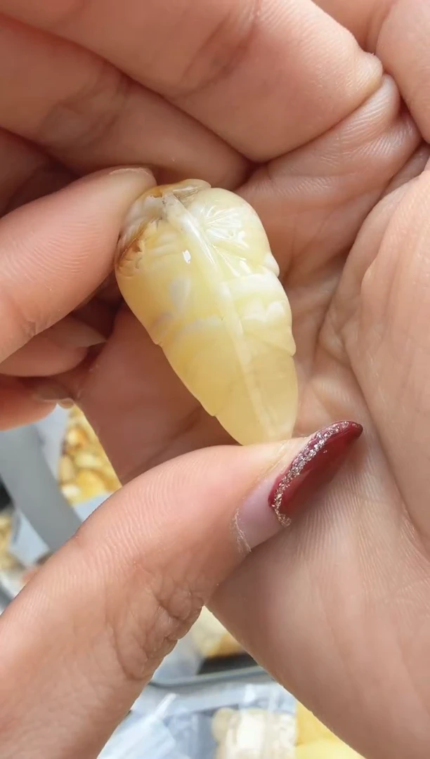 【闪购商品】琥珀裸石未镶嵌配饰