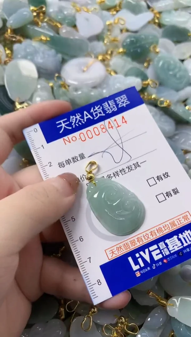 颈饰未镶嵌翡翠天然A货翡翠