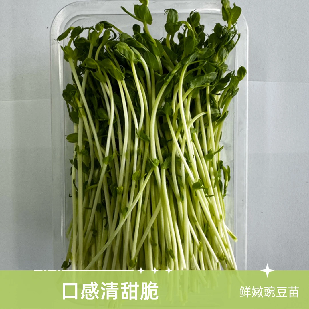 豌豆苗200g
