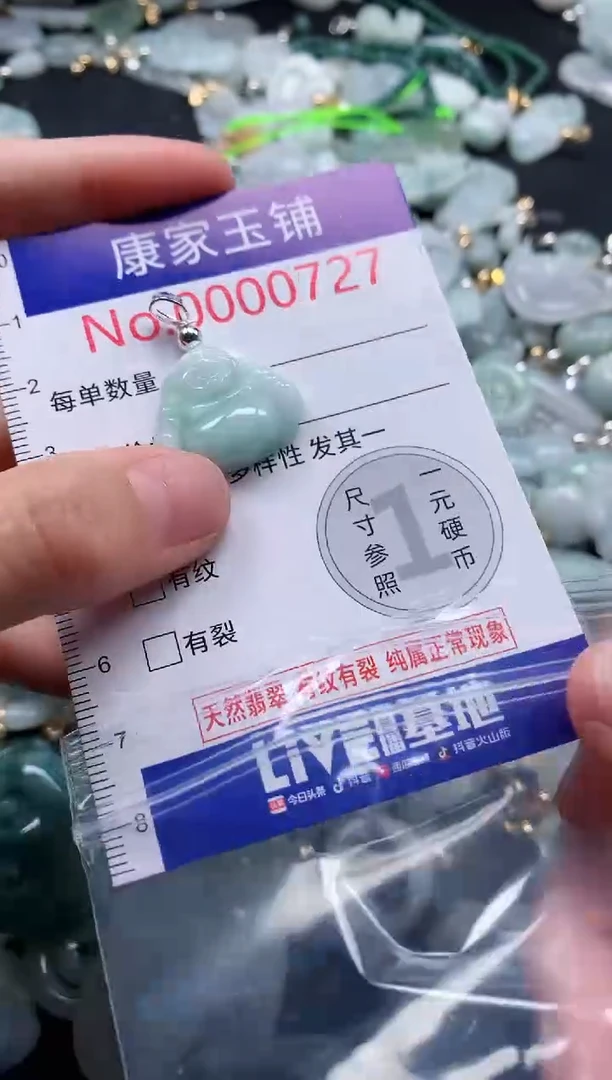 翡翠未镶嵌吊坠(不含链)727