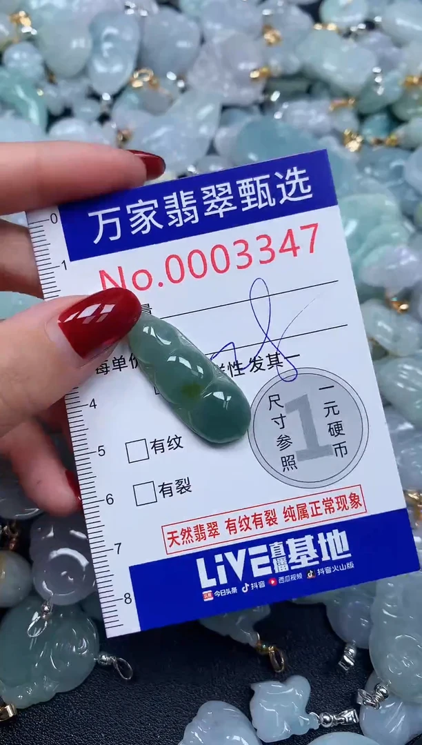 颈饰未镶嵌翡翠3347