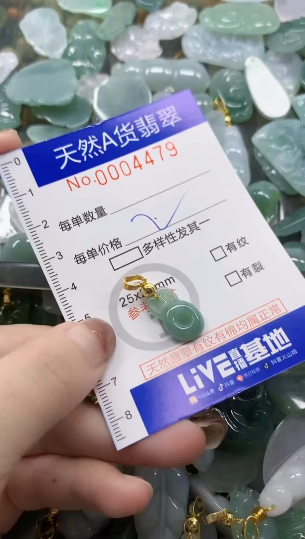 颈饰未镶嵌翡翠天然A货翡翠