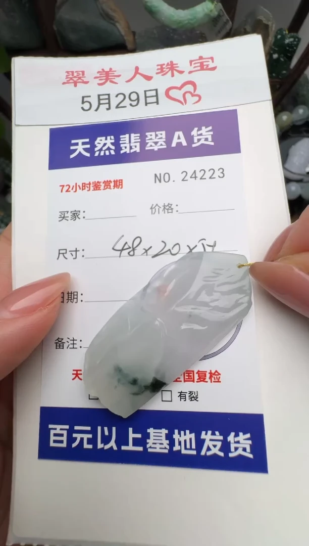 翡翠未镶嵌颈饰原石24223