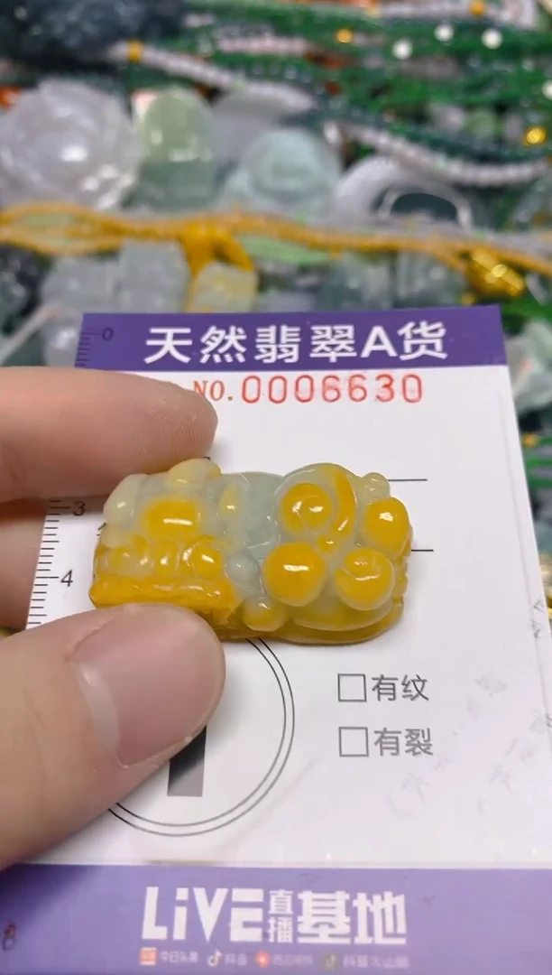 颈饰未镶嵌翡翠0006630