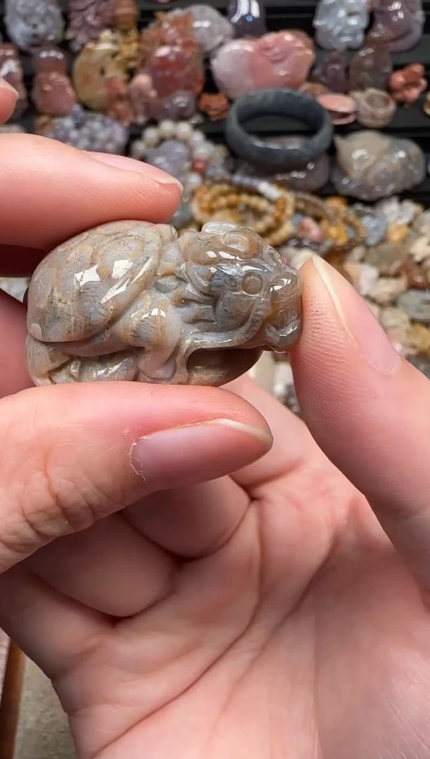 颈饰未镶嵌硅化珊瑚（珊瑚玉）057