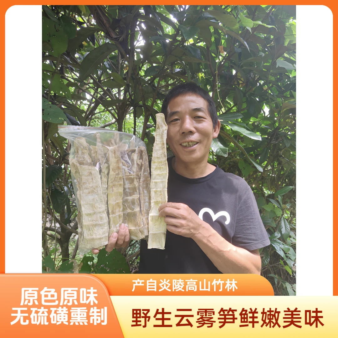 炎陵野生云雾笋尖鲜嫩无硫竹笋干天然高山小竹笋农家手工自制特产