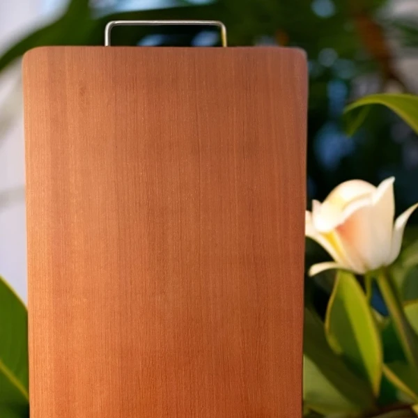 【整木原木原色】40*29cm花梨木整木切菜砧板大号进口加厚防霉