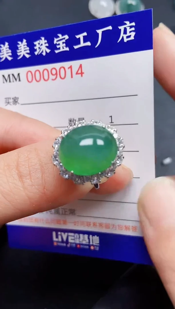 翡翠银S925镶嵌颈饰9014