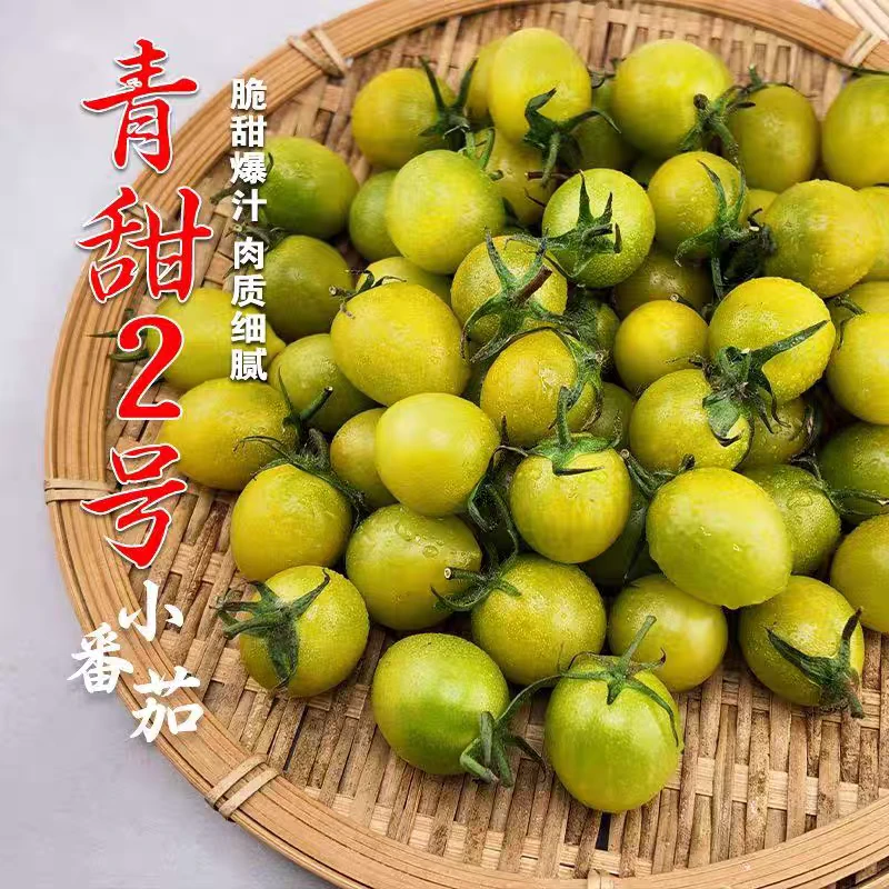 【京东/顺丰包邮到家】正宗青霞青甜小番茄2.5斤脆甜爽口新鲜番茄同城配釜山88山东省山东省郑州市