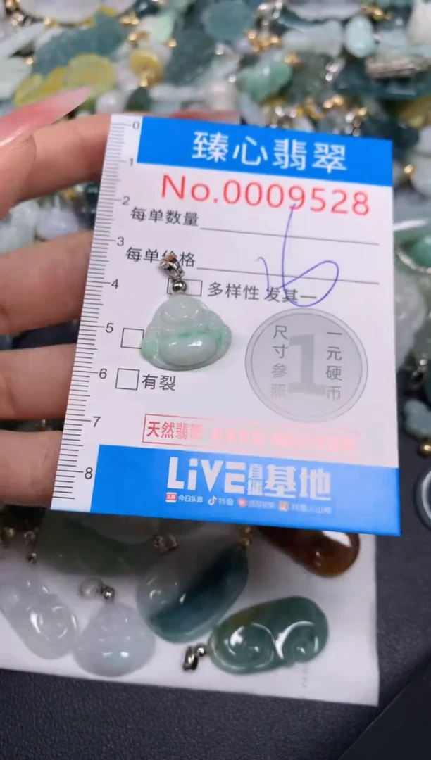 【闪购商品】翡翠颈饰未镶嵌含绳0009528