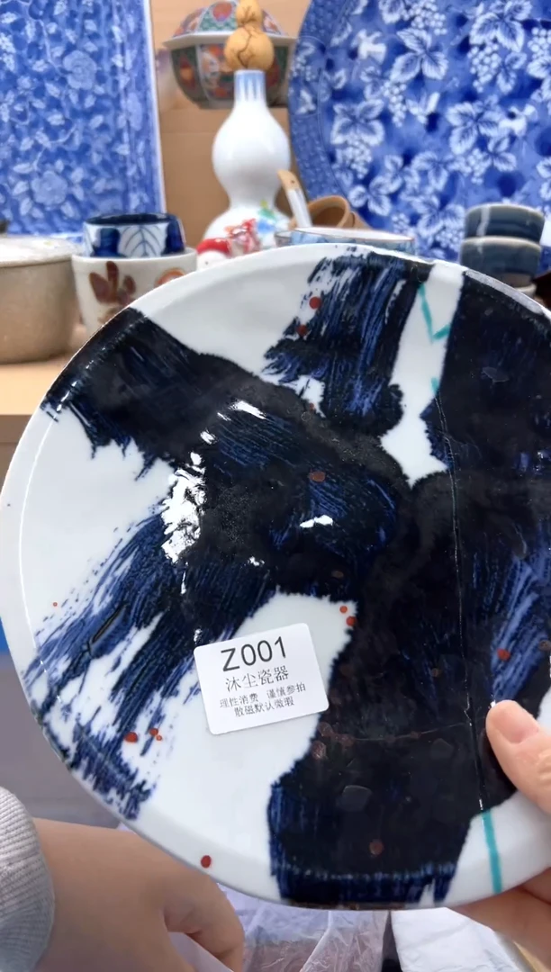 瓷片          Z001