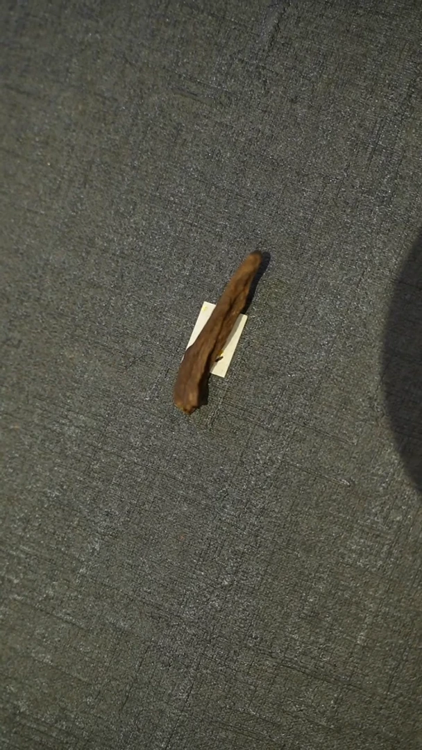 沉香吊坠富森红土0.77g