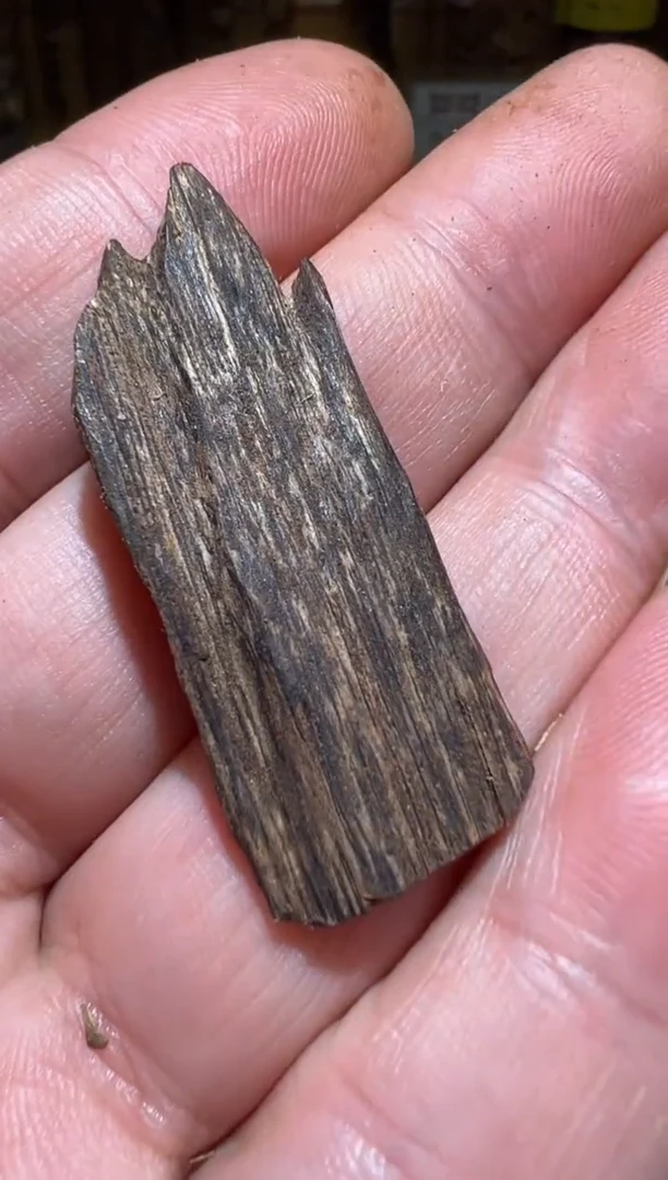 沉香沉香碎屑海南1.2克