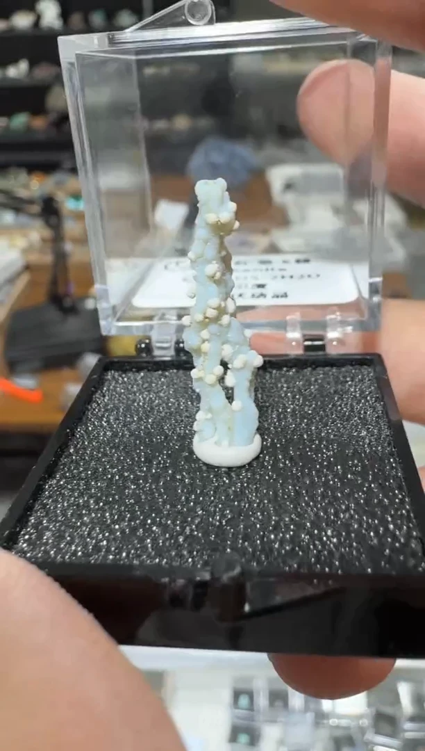 【闪购商品】月下珠宝严选矿物